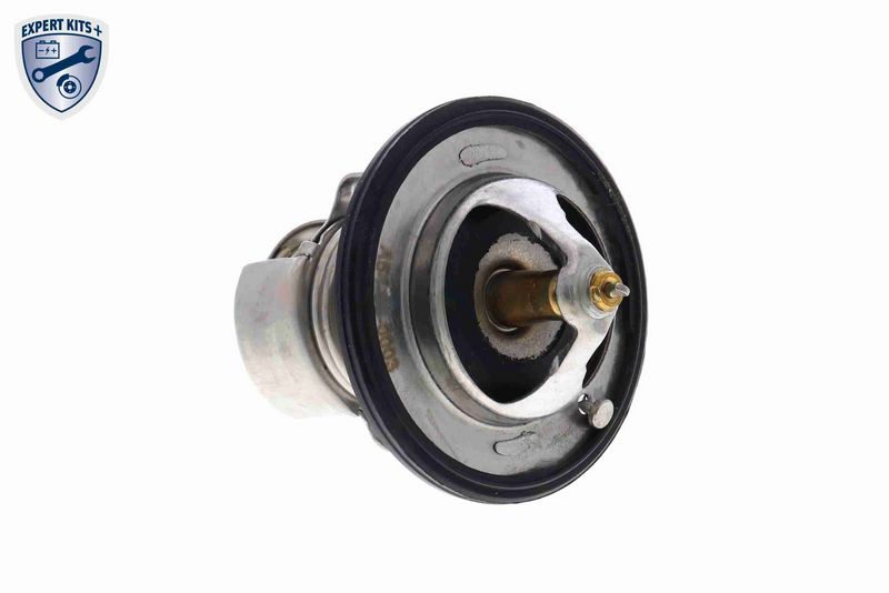 ACKOJA A54-99-0003 Thermostat, coolant