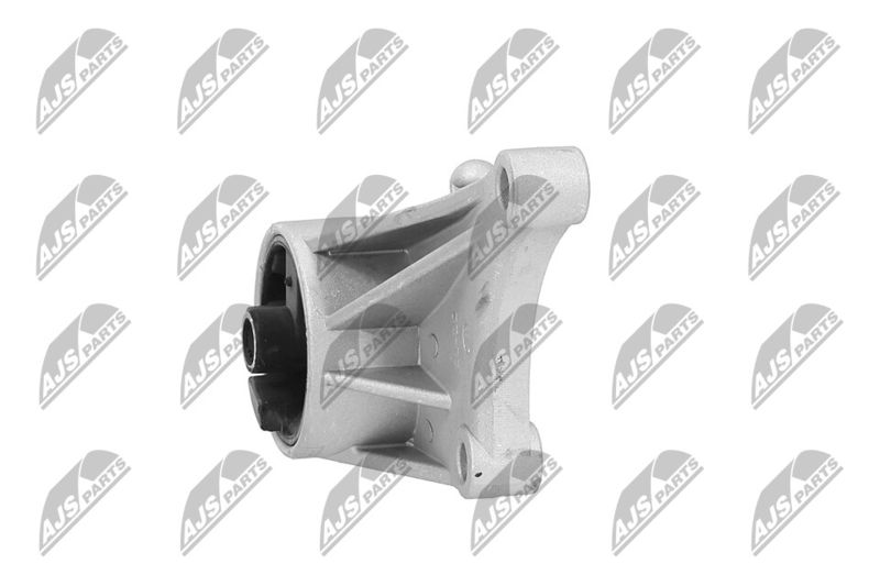Paigutus, Mootor, NTY ZPS-PL-015