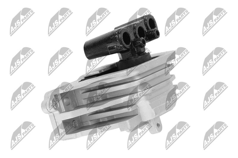 Paigutus, Mootor, NTY ZPS-CH-103