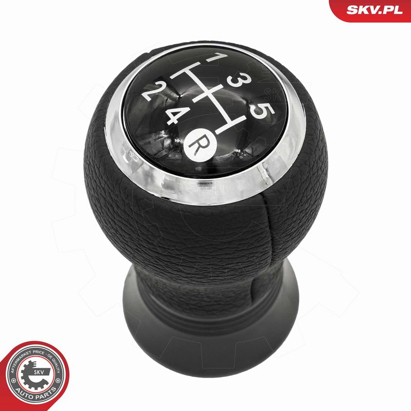 Käigukanginupp, ESEN SKV...