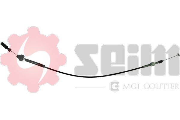 554624.JPG