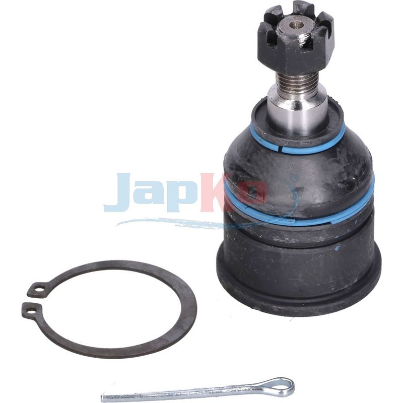 Kande-, juhtliigend, JAPKO...