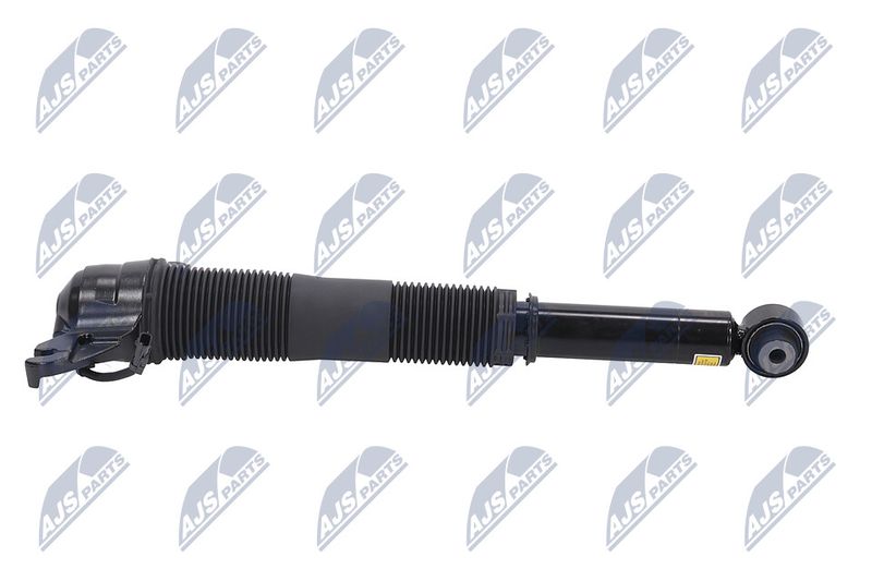 Amort, NTY A-LR-021