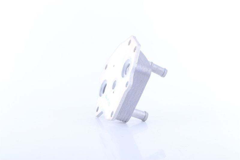 Image 31