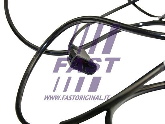 FT80556_3_1.JPG
