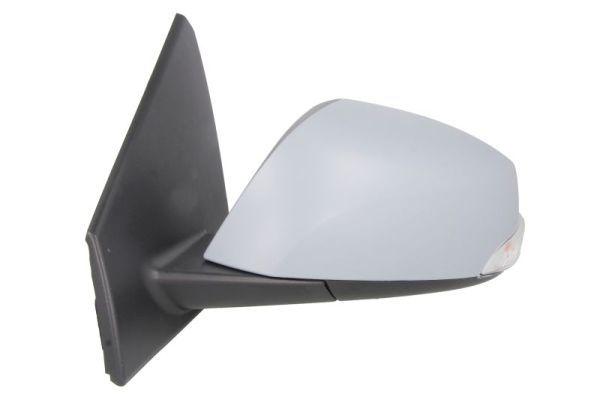BLIC 5402-09-2002143P Exterior Mirror