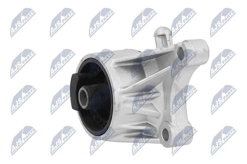 Paigutus, Mootor, NTY ZPS-PL-036