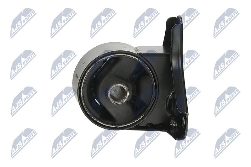 Paigutus, Mootor, NTY ZPS-KA-300