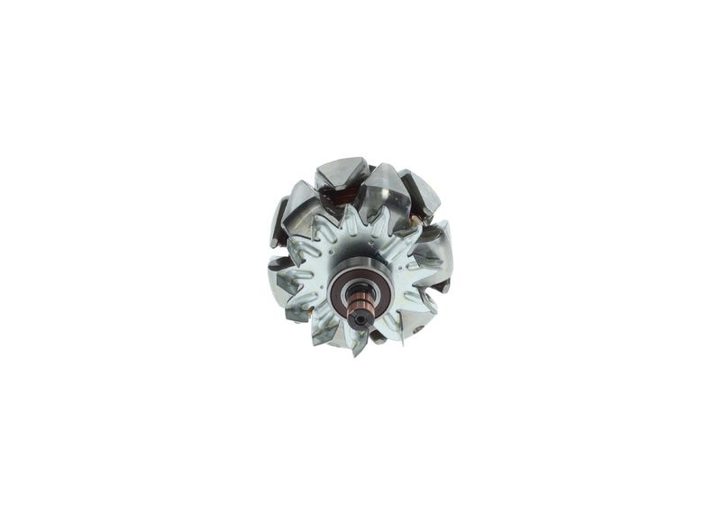 Dynamo rotor (120A) past: DAF  MAN