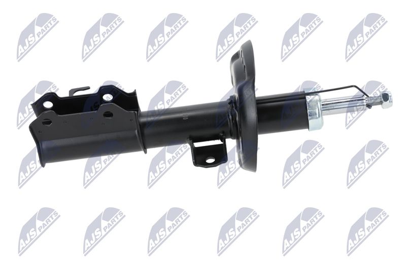 Amort, NTY A-PL-029