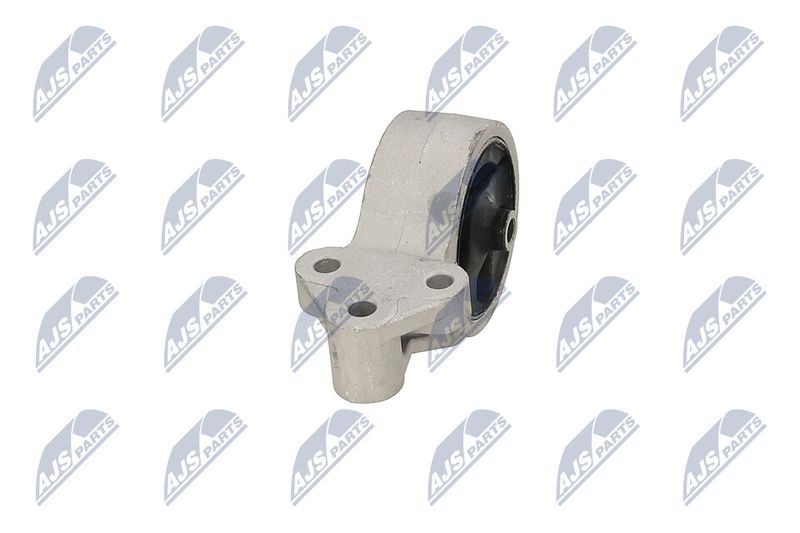 Paigutus, Mootor, NTY ZPS-MS-016