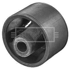 BEM4122_210898.JPG