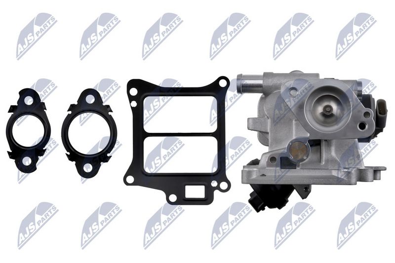 NTY EGR-VV-010 EGR Valve