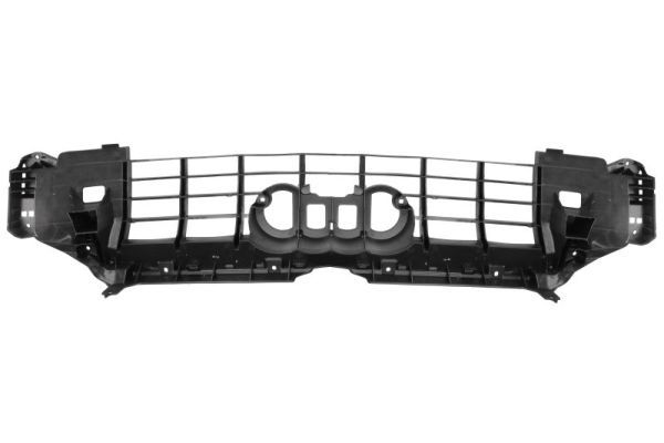 BLIC 6502-07-0044989P Trim/Protection Strip, radiator grille