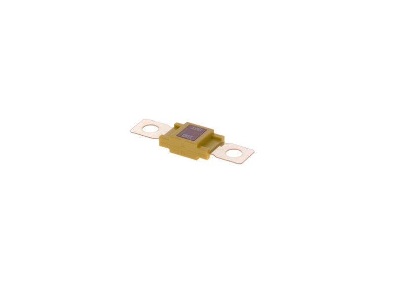BOSCH 1987531000 Fuse