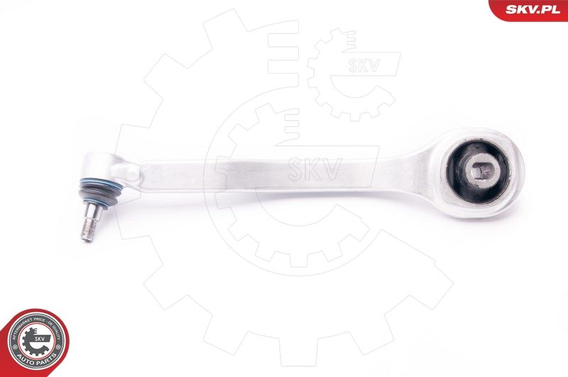 ESEN SKV 04SKV300 Repair Kit, control arm