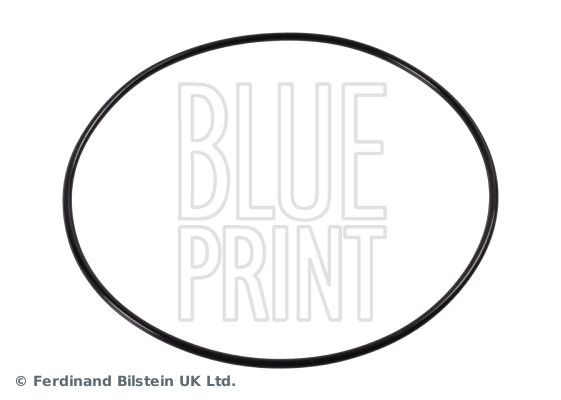 BLUE PRINT Veleno sandariklis, rato guolis