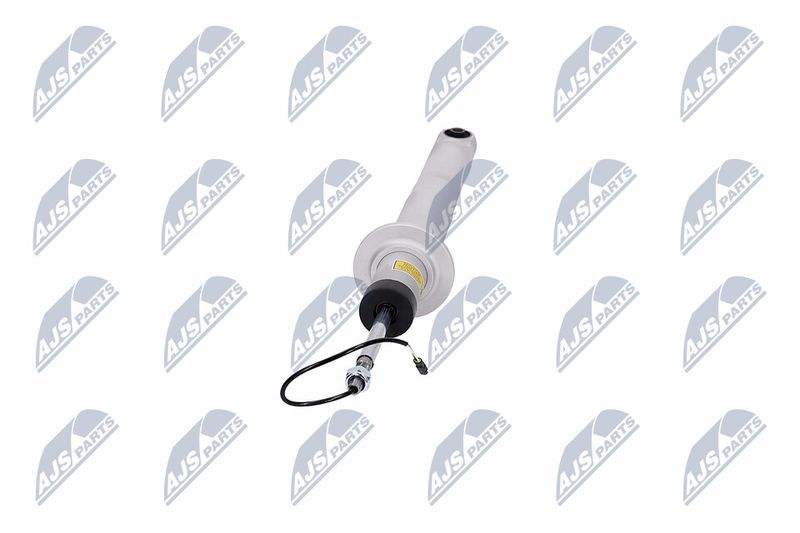 Amort, NTY A-MA-003