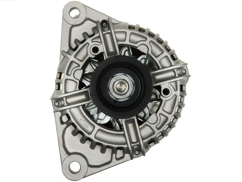 373010.JPG