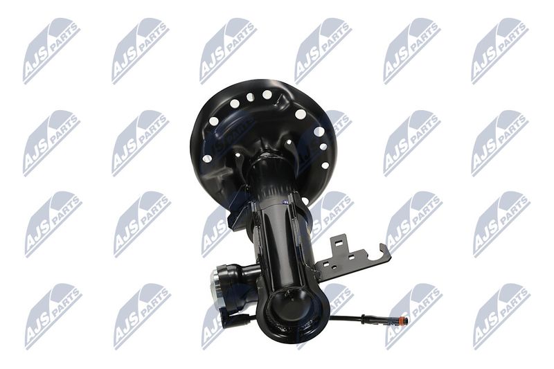 Amort, NTY A-PL-062