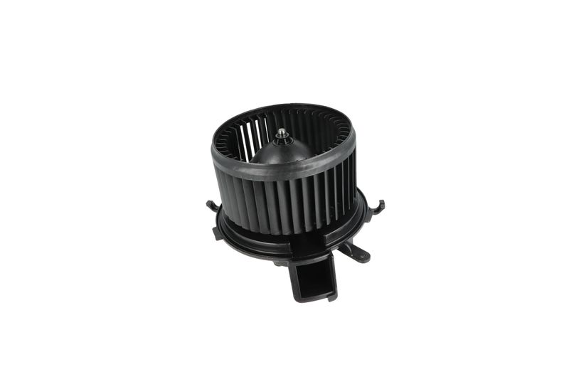 Salongipuhur, NRF 34234