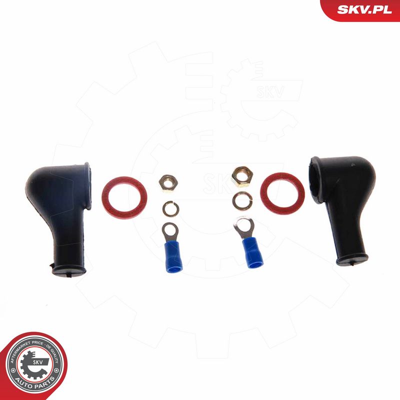 ESEN SKV 02SKV010 Fuel Pump