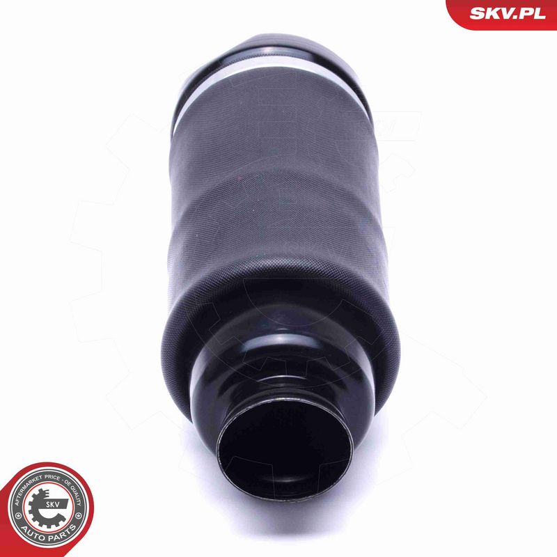 ESEN SKV 58SKV066 Air Suspension Strut