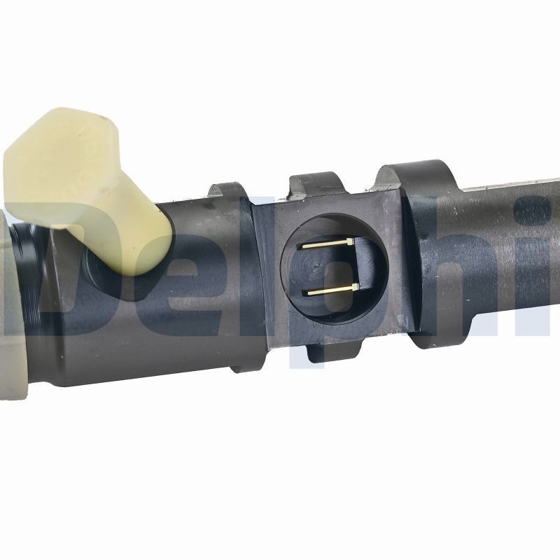 DELPHI R04701D-12B1 Injector