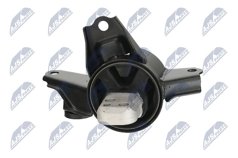 Paigutus, Mootor, NTY ZPS-KA-335