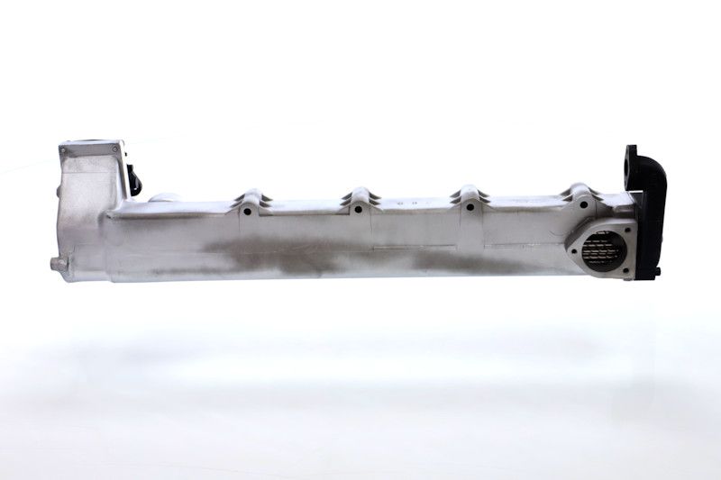 REMANTE 010-001-000002R EGR Module