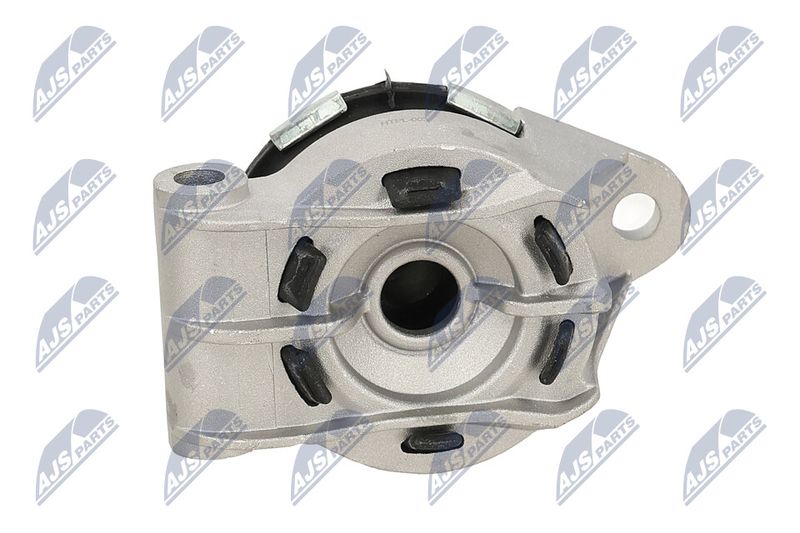 Paigutus, Mootor, NTY ZPS-PL-003