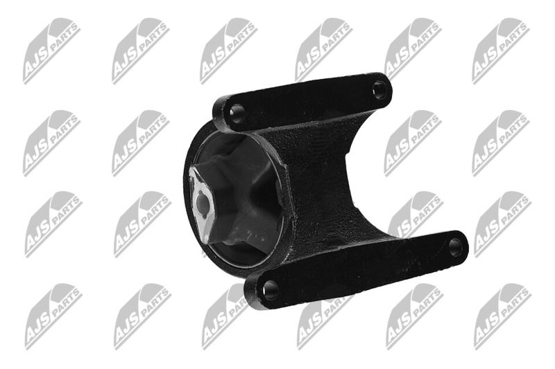 Paigutus, Mootor, NTY ZPS-CH-008