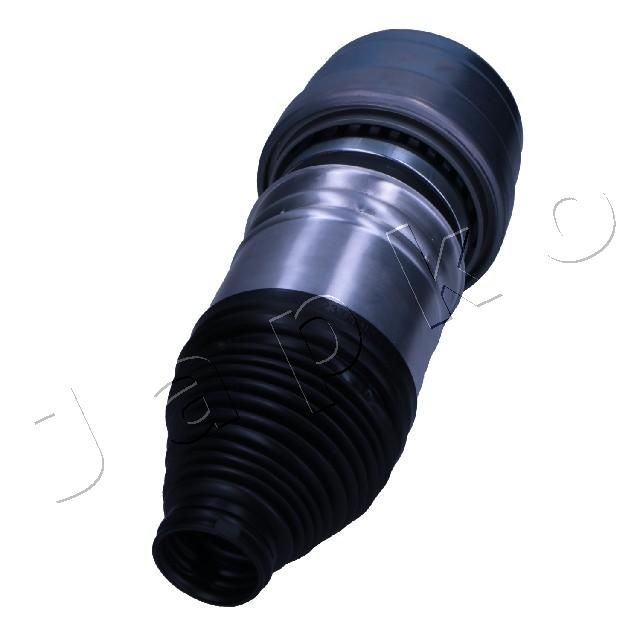 MJAS224_2.JPG