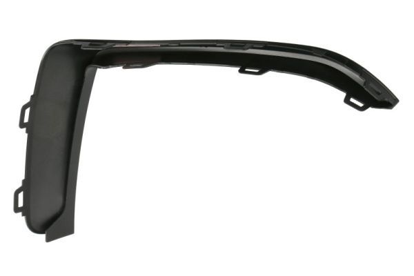BLIC 6502-07-0073923P Trim/Protection Strip, bumper