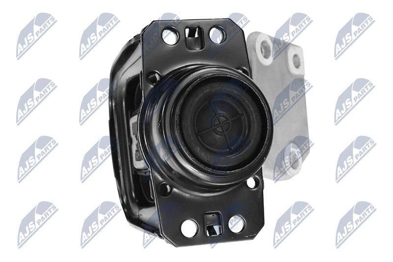 Paigutus, Mootor, NTY ZPS-PE-019