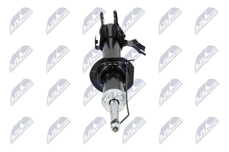 Amort, NTY A-NS-008
