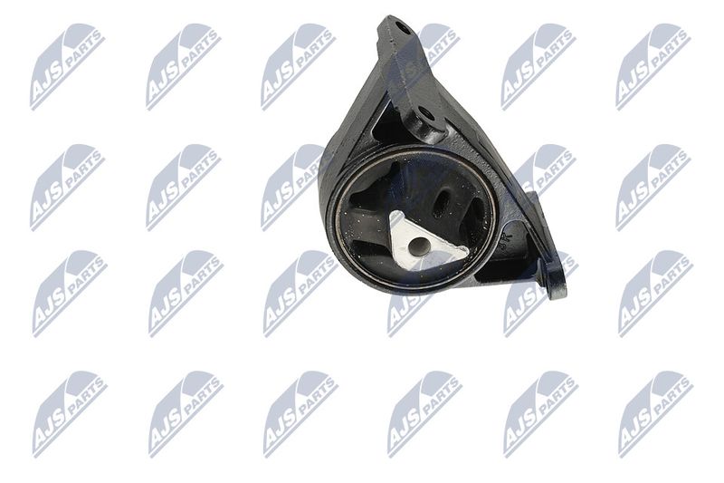 Paigutus, Mootor, NTY ZPS-CH-006