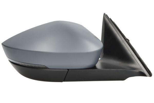 BLIC 5402-43-2355313P Exterior Mirror