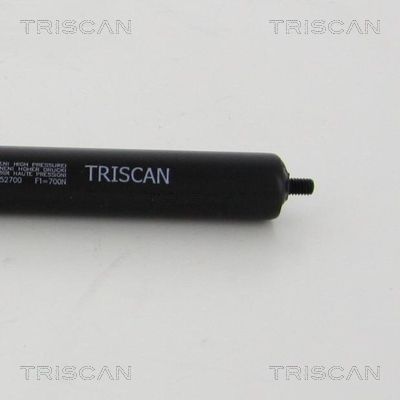 TRIS87101022452700_2.JPG