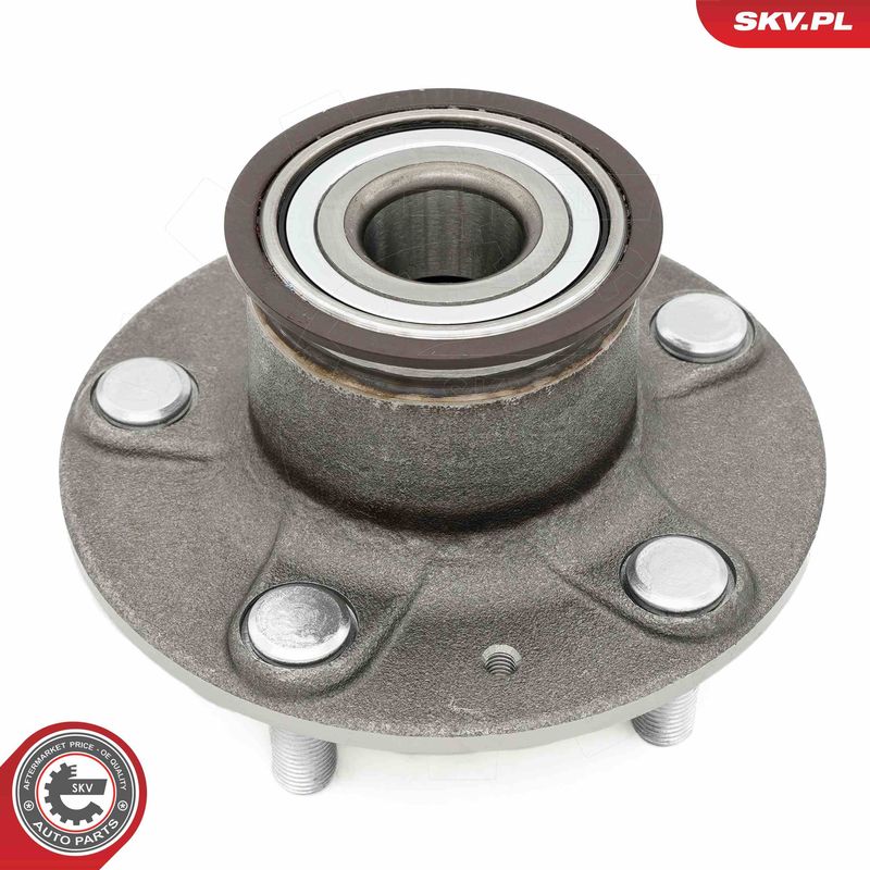 ESEN SKV 29SKV667 Wheel Bearing Kit