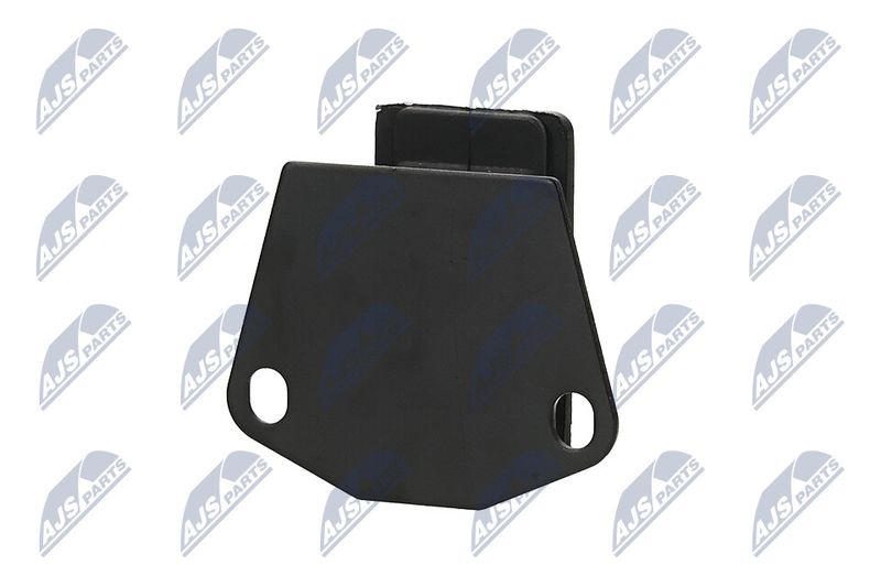 Paigutus, Mootor, NTY ZPS-MS-073