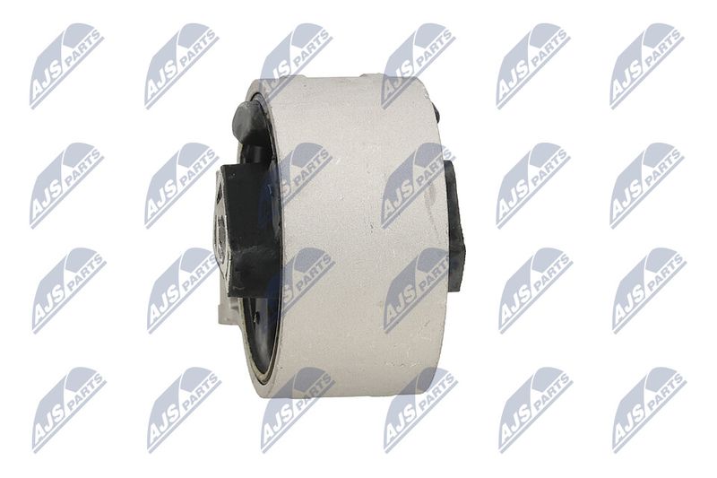 Paigutus, Mootor, NTY ZPS-PL-024