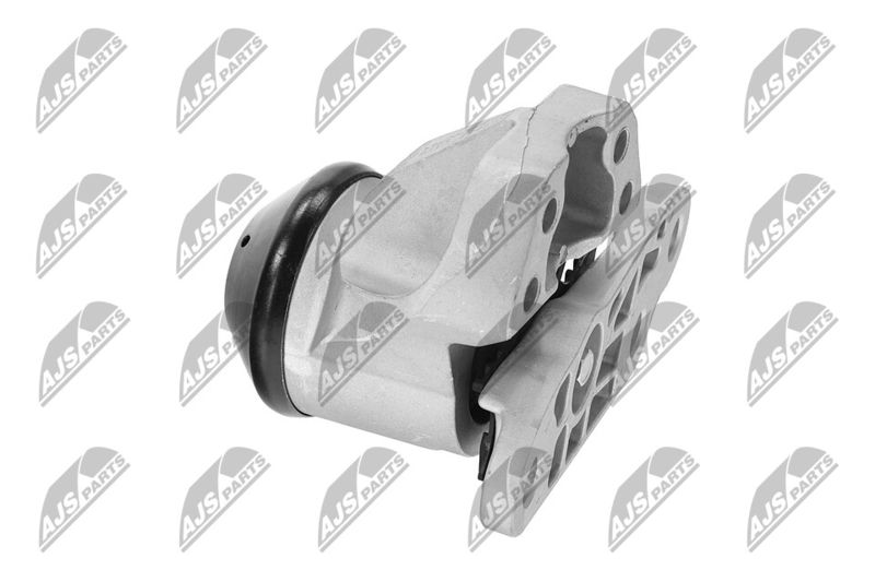 Paigutus, Mootor, NTY ZPS-FR-053