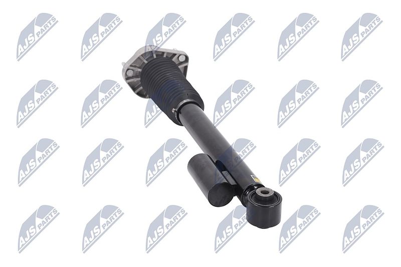 Amort, NTY A-LR-019