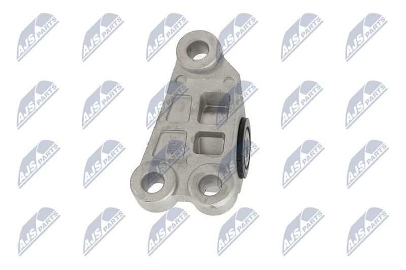 Paigutus, Mootor, NTY ZPS-CH-118