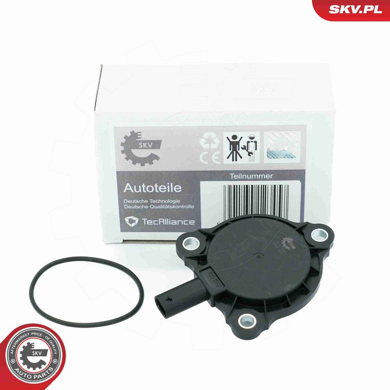 ESEN SKV 39SKV905 - Central Magnet, camshaft adjustment
