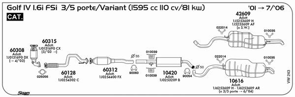 VW243_1.JPG