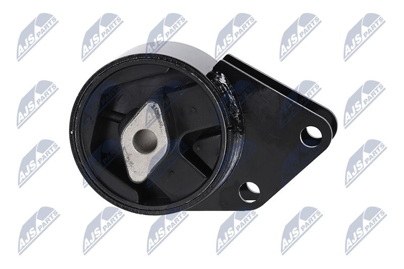 Paigutus, Mootor, NTY ZPS-CH-064