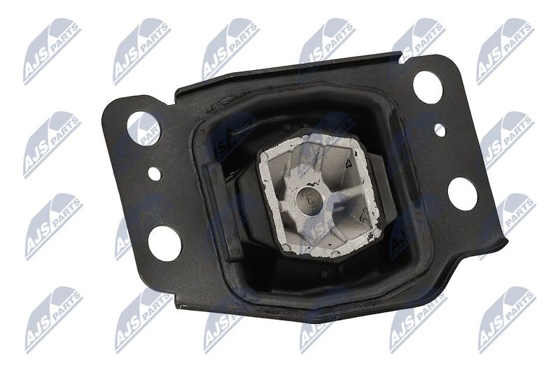 Paigutus, Mootor, NTY ZPS-FR-036