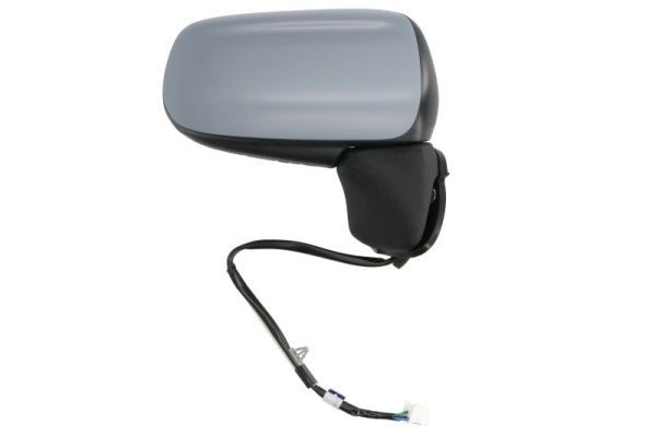 BLIC 5402-04-1121995P Exterior Mirror